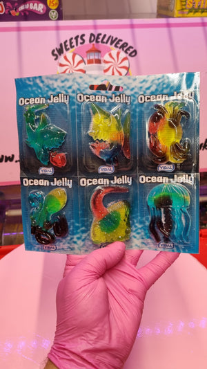 Ocean Jellies 6 Pack