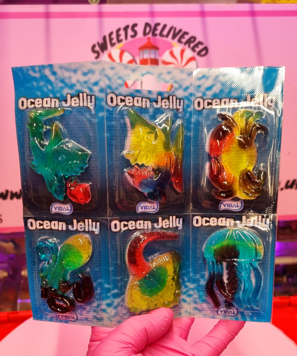 Ocean Jellies 6 Pack